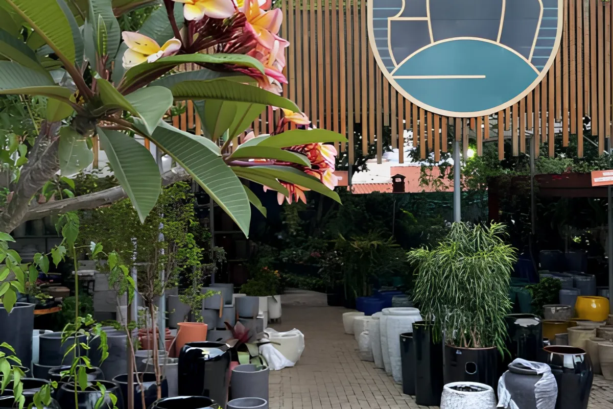Venda de Plantas Selecionadas
